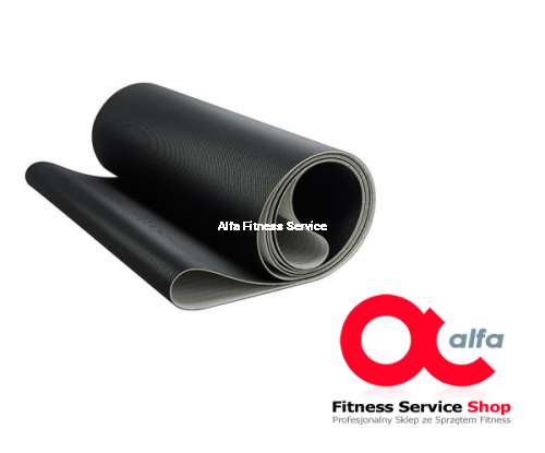 Pas i logo poziomo.png