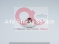rolka prowadząca alfa fitness service shop.JPG