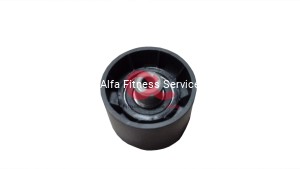 Rolka prowadząca/napinajaca pasek napędowy silnika Life Fitness 95T