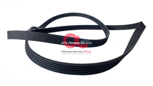 alfa fitness service belt.jpg
