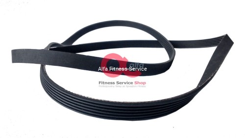 belt alfa fitness service.jpg