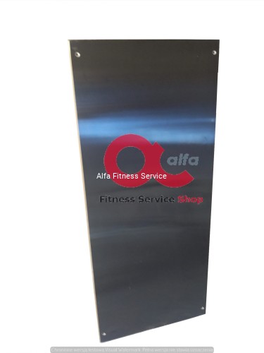 Life Fitness deck 1 (1).jpg