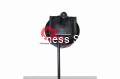 reg 1 (1).JPG