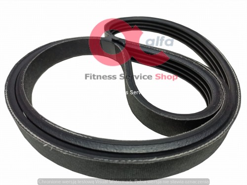 Tomahawk Belt (1).jpg