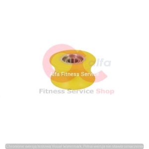 Rolka prowadząca ramię orbitreka Domyos EL 900