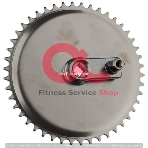 110695_$web$__31001 (1).jpg