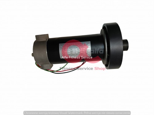 silnik 11 (1).jpg