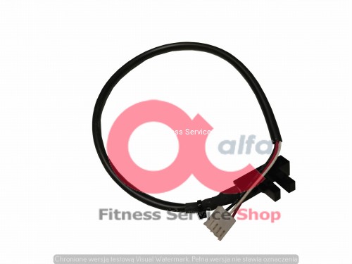 cybex 1 (1).jpg