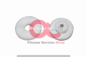 Zębatki do silnika podnoszenia bieżni Life Fitness 95Ti