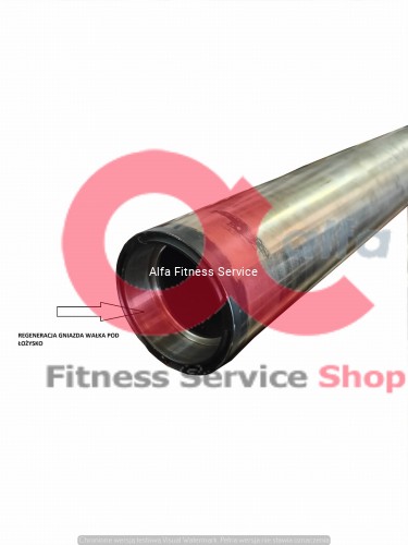 rear lf roller regeneration (1).jpg