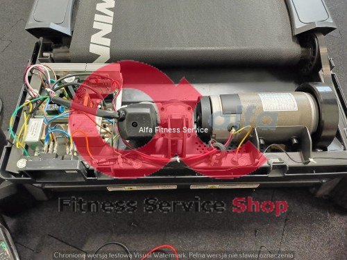 IMG20240824075330 (1).jpg