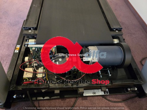 f9 bh fitness (1).jpg