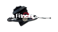 regulator5_afs2.png