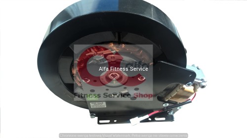 elektromagnes z kołem zamachowym 1.jpg