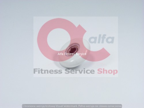 rolka prowadząca alfa fitness service shop 2.JPG