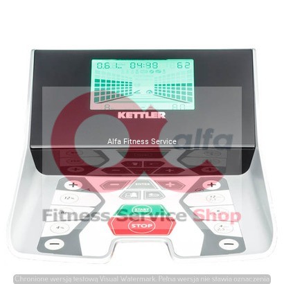Track Performance Alfa Fitness Service.jpg