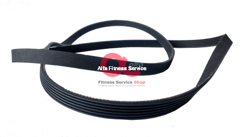 belt alfa.png
