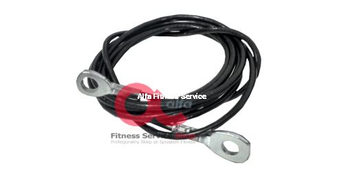 alfa fitness service ramioina.jpg